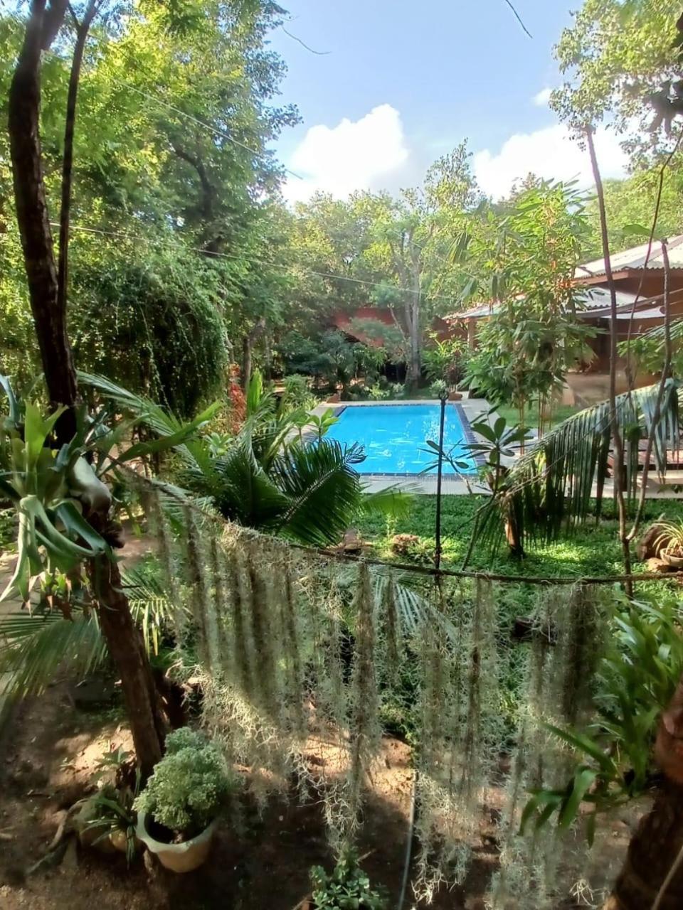Villa Habarana Exteriör bild