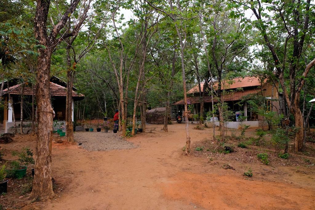 Villa Habarana Exteriör bild